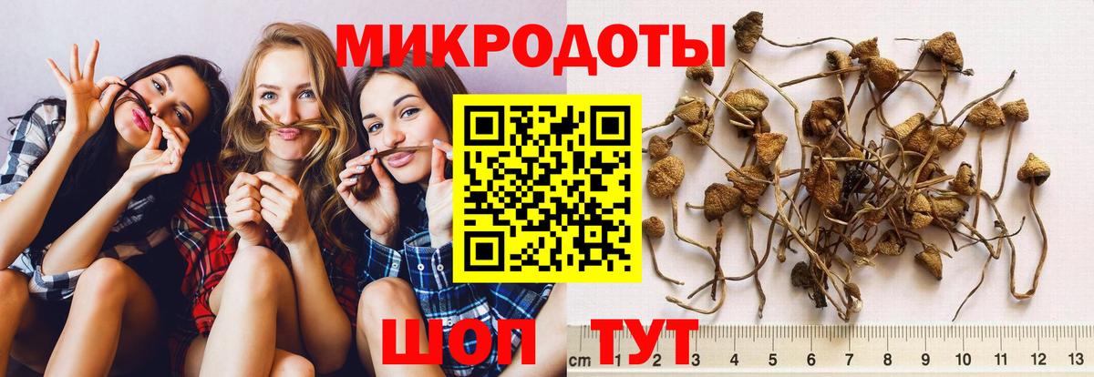 Галлюциногенные грибы прущие грибы  Псилоцибиновые грибы ЛСД  даркнет сайт  Вход с VPN  Кириши 